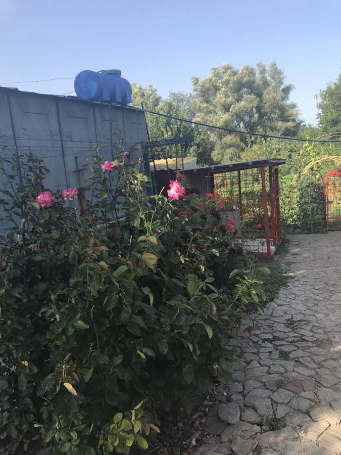 미르호로드 The Garden 빌라 외부 사진